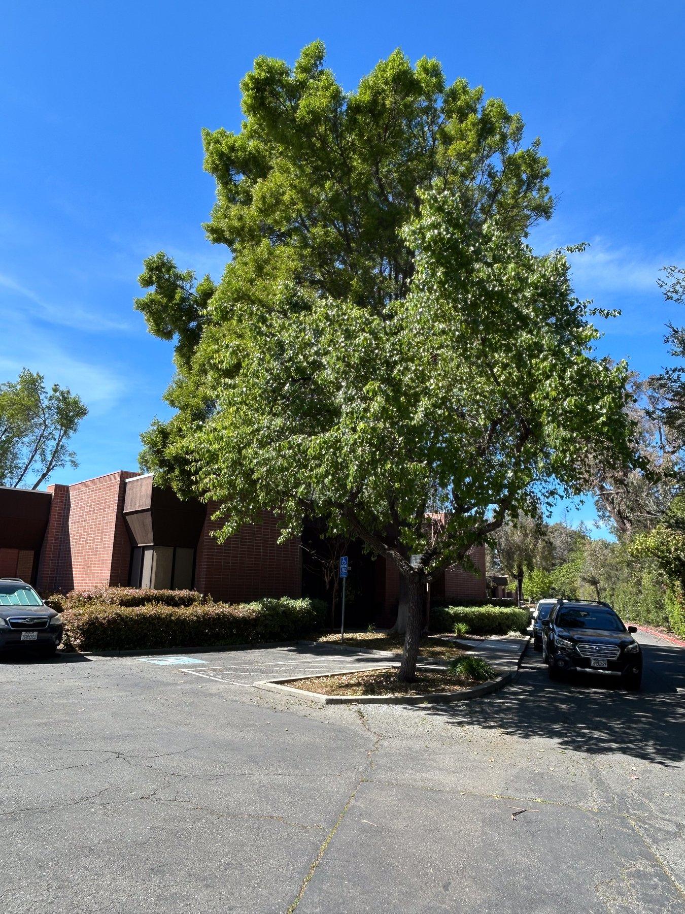 402 N Wiget Lane - Photo 2